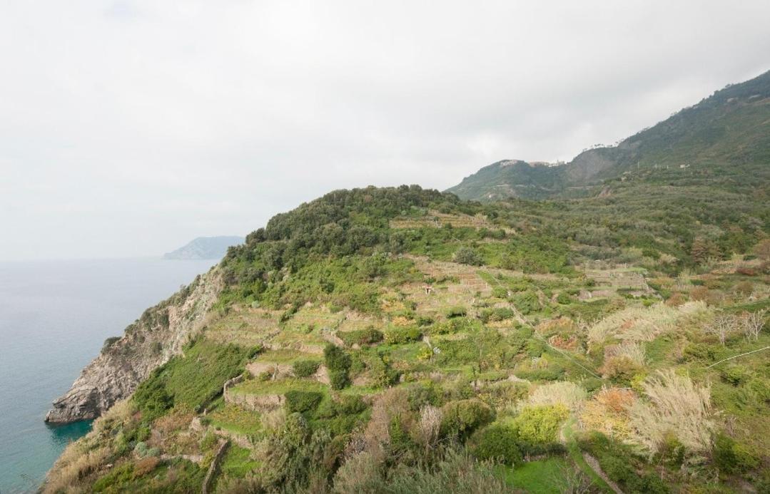 Arbanella Hotel Corniglia Room photo